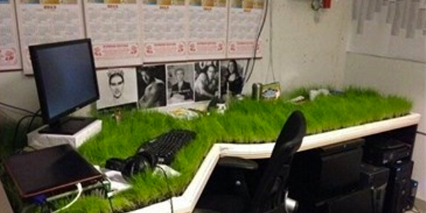 17.) Don't forget to MOW YOUR DESK!