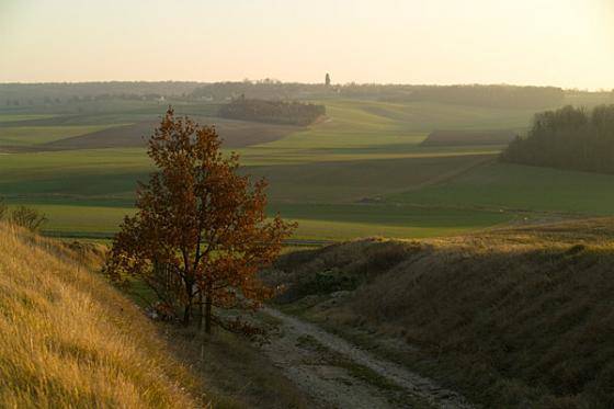 It was here where French and Moroccan troops held off the Germans in a seven-day battle that saved Paris, also known as "Miracle of the Marne."