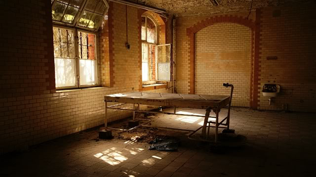 13.) Beelitz Military Hospital, Germany.