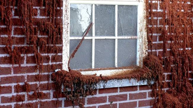 The color of the bricks makes the melted piles almost look like blood.