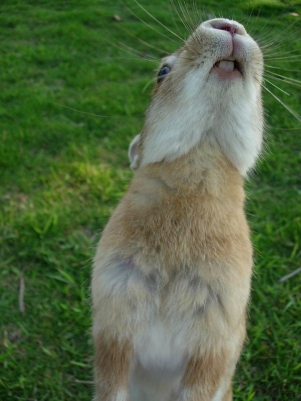 This guy's got some good chops on him, for sure.