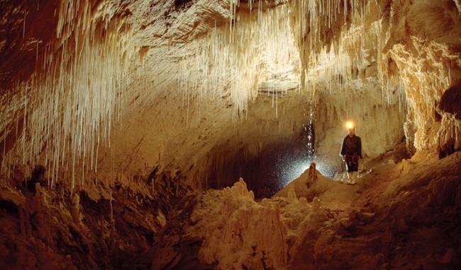 2.) Waitomo Cave, New Zealand