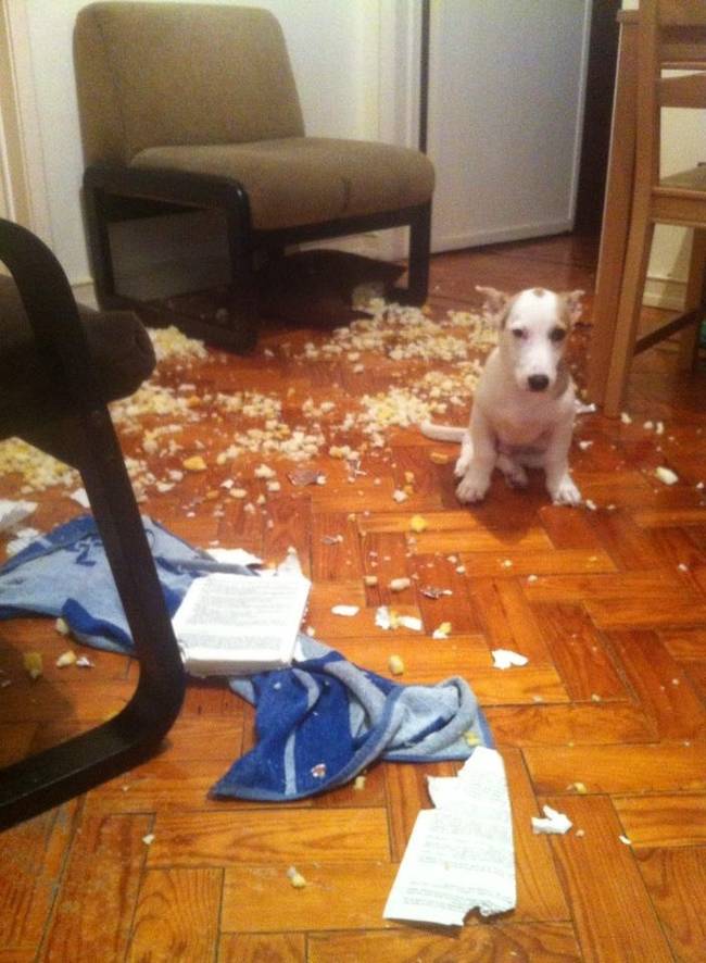 "I'm really just as shocked as you are. We'll get through this together. By which I mean you clean this up and give me dinner