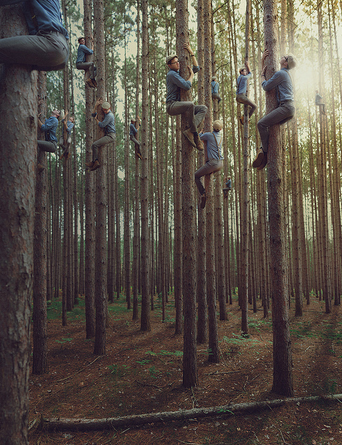 "Men In the Trees "