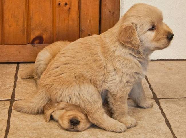 "...I don't like to sit on the tile, it's cold on my behind."