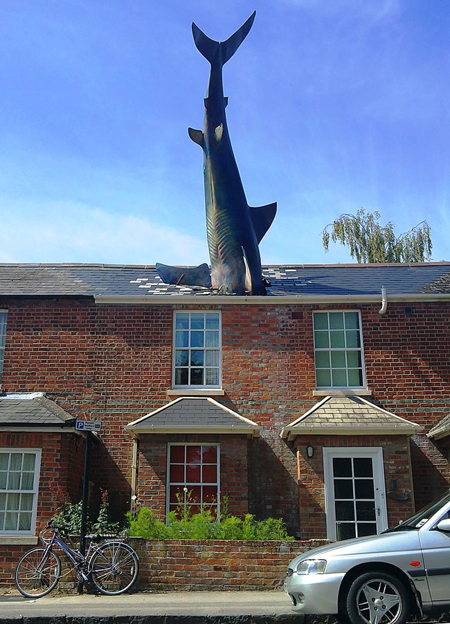 1.) The Shark (Oxford, UK)