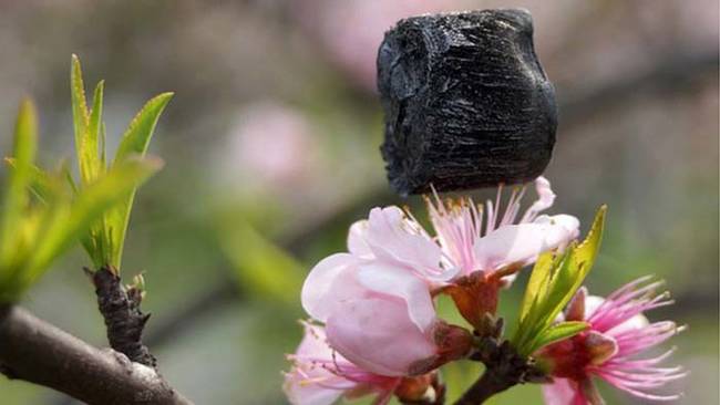 The material is called graphene aerogel, and it is so light that it can be balanced on the top of a flower.