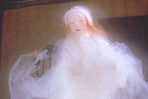 The Ghost of Christmas Past (<i>The Muppet Christmas Carol</i>).