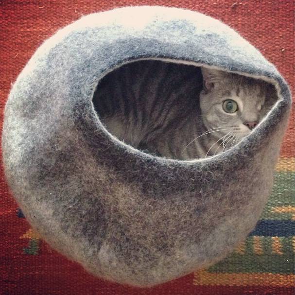 This adorable one-eyed ball of fur is playing hide-and-seek.