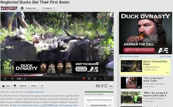 10.) Get out of the way Duck Dynasty, I'm trying to watch some actual ducks.