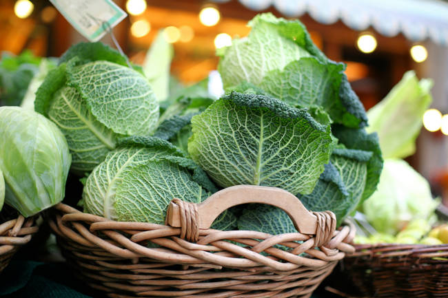 Instructions: put some food coloring at the bottom of a glass, place the bottom of a leaf of cabbage into the glass, and watch as the piece becomes that color over the next couple of days