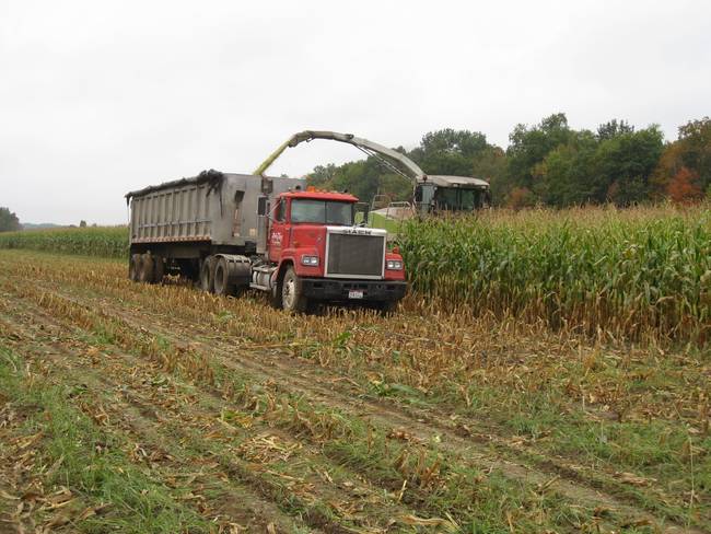 An American farmer collects his corn crop with the help of some large machinery.