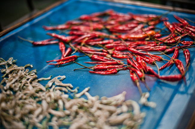 8. Hot peppers: They may burn while in the microwave, but the real danger is when you open it up and they pop in your face. No one wants pepper juice in the eyes!