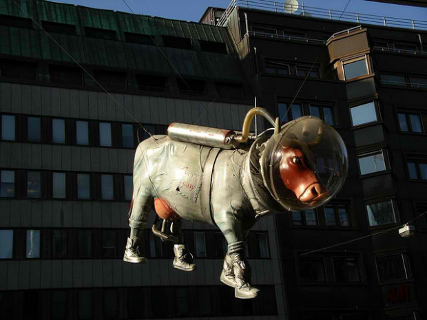 24.) Space Cow (Stockholm, Sweden)