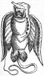 1573: Most likely an odd bastardization of a sting ray, the Sea Eagle is a particularly horrifying creation by map makers of the era. It was said that if you caught one and presented it to a king, you'd get a hefty reward.