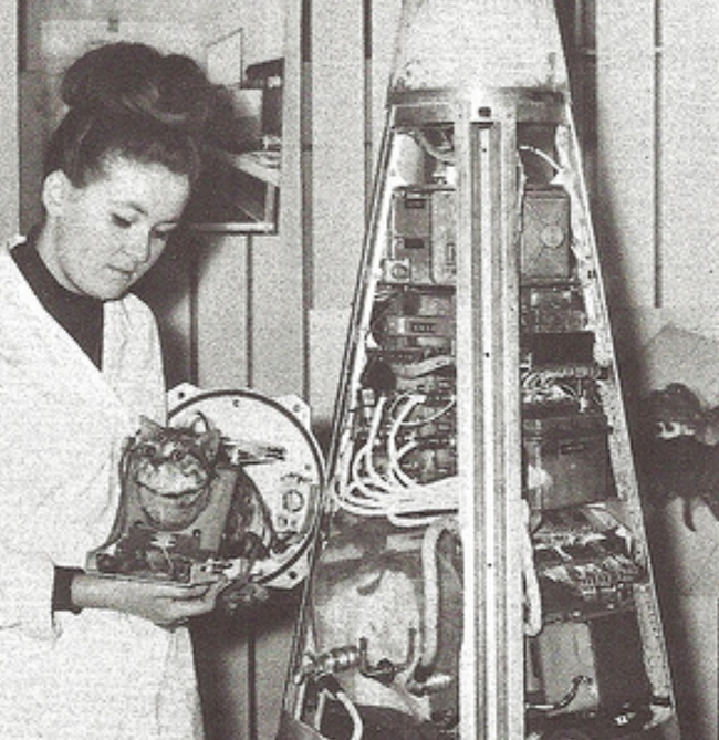 The French feline, Felicette was the first cat to reach space in 1963.