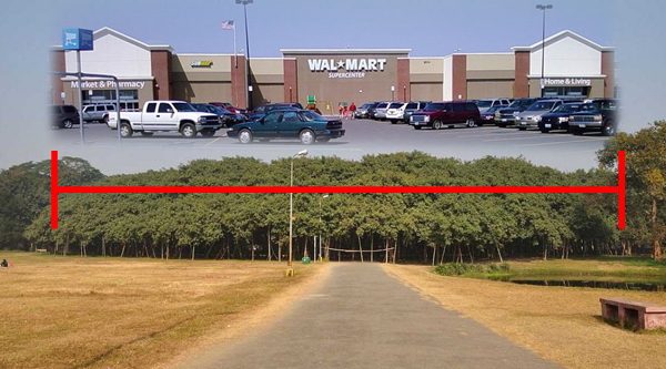 And that tree is about the size of a Walmart.