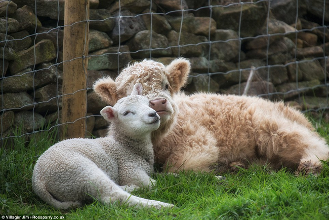 To these cuties, there's nothing unusual about their friendship.