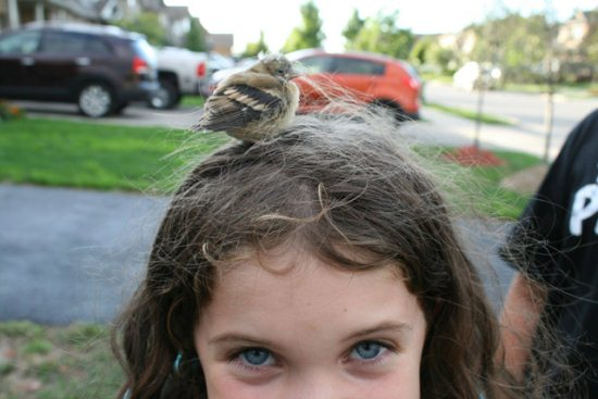 This puffy bird found a perfect perch!