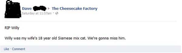 8.) The Cheesecake factory, like myself, had no idea how to respond to that.