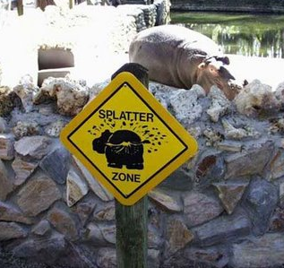 6.) Hint: that's not water coming off that hippo.