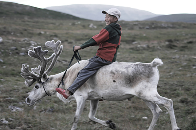 2.) Reindeer - Finland, Mongolia