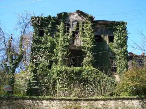 Ivy mansion.