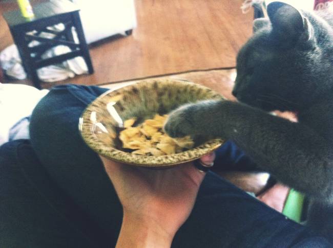 5.) I think the most insulting part is him picking through the bowl to find the biggest chip.