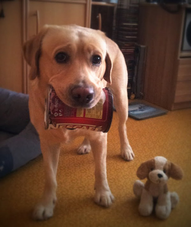 He was going to bring you a full breakfast in bed, but this was all he could carry.