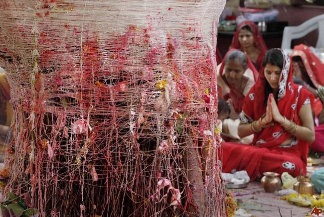 5.) Marrying a Tree: India