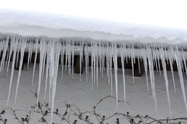 The cold in Russia is no joke. Icicles kill 100 people every year.