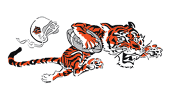 12.) This Bengals logo features a tiger that looks like it is afraid of its own helmet.