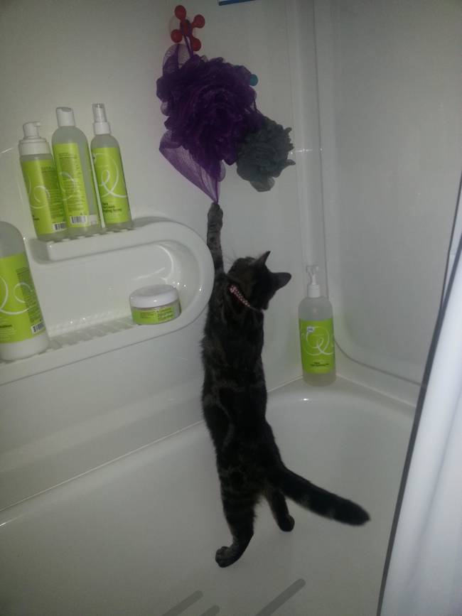 Just hanging out in the shower.