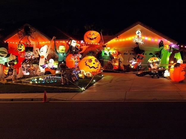 I kind of just want to run and jump on to this yard. Something tells me I'd be perfectly safe wherever I'd land.