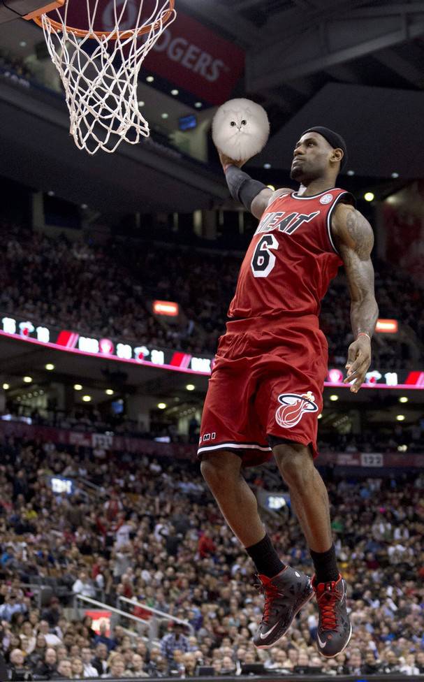 It's a known basketball cheat that using a round cat instead of a ball will allow you to levitate.