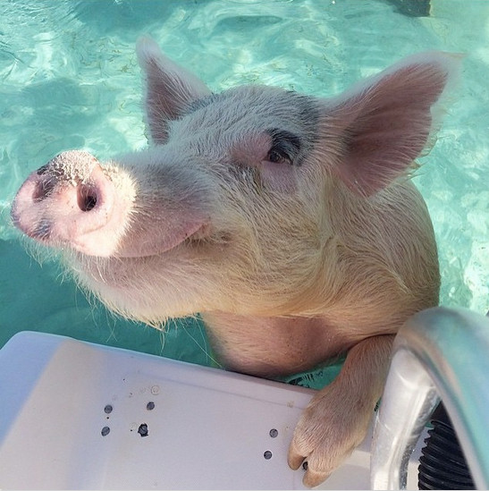 Swimming class is her favorite.