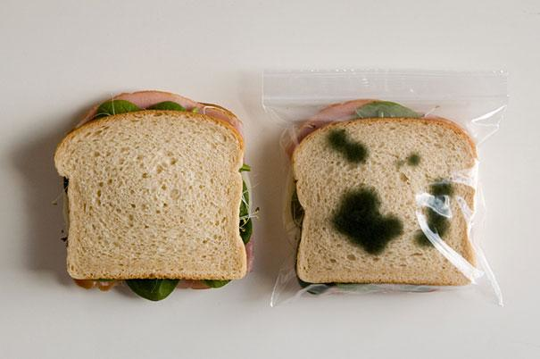 13.) Anti-sandwich theft device.