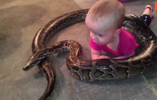 As a snake handler,  Jamie prefers snakes to more conventional pets.