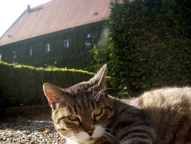 Soaking in some rays outside a German schloss.