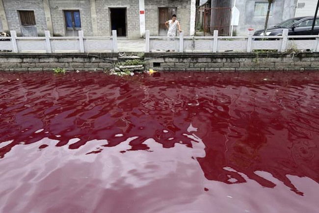 The toxic waters throughout China are a horrifying reminder of what some cities consider "acceptable" drinking water.