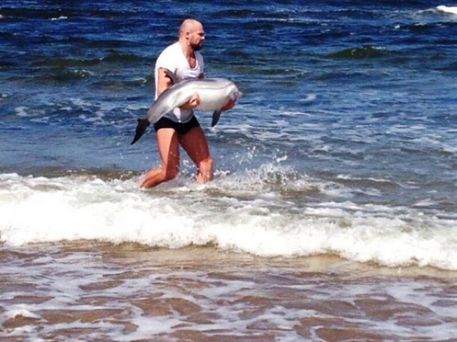 15.) Cathal Pendred, a professional MMA fighter, tweeted this photo of when he saved a baby dolphin who had gone too far ashore.