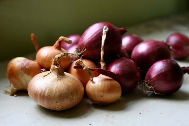 11.) Waterloo, NE: Barbers are legally forbidden from eating onions between the hours of 7:00 am and noon.