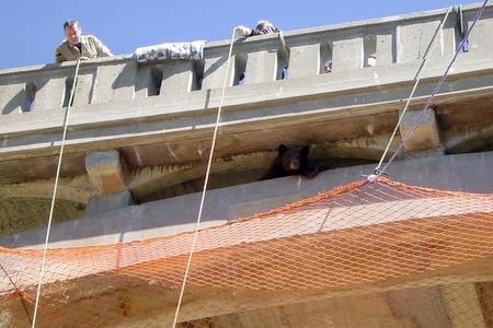 With the help of some volunteers Baker and his team rigged up the net underneath the bridge with ropes and pulleys.