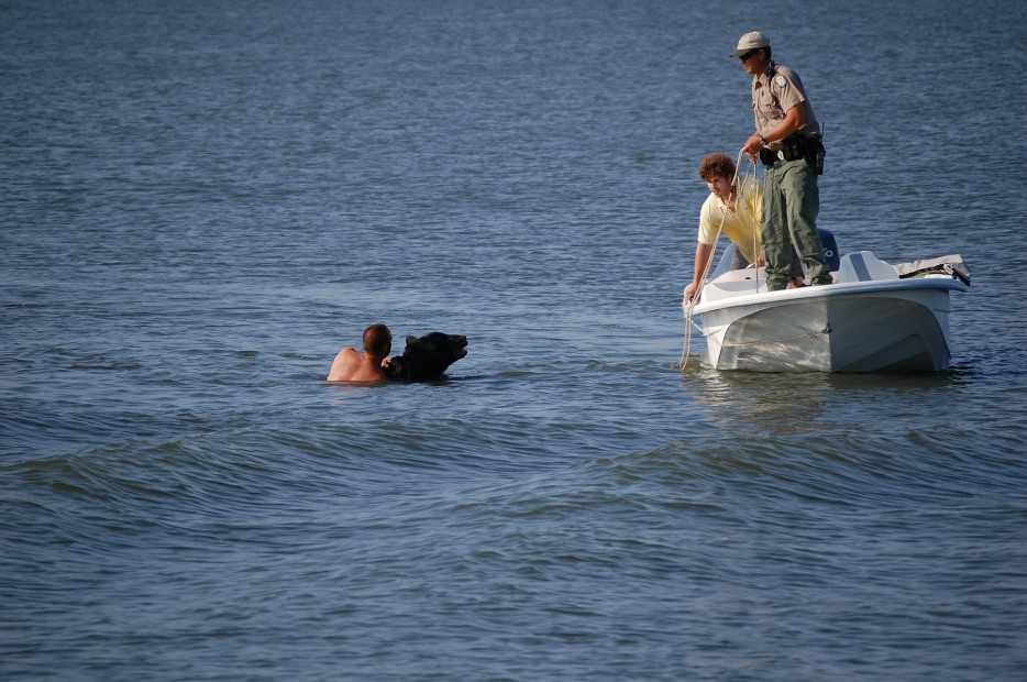 "It was a spur of the moment decision. I had a lot of adrenaline pumping when I saw the bear in the water."