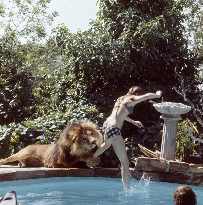 Neil and Melanie horsing around at the pool.