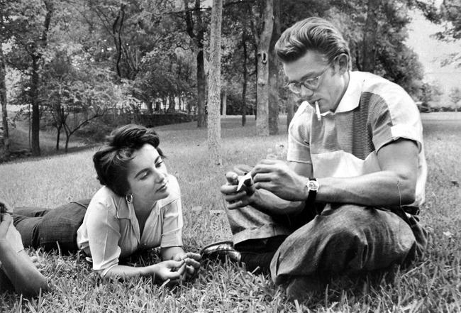 13. Elizabeth Taylor and James Deen