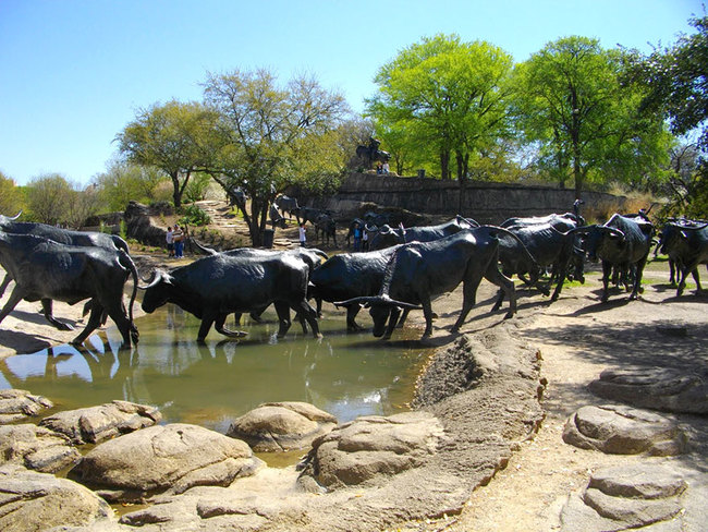 13.) Cattle Drive (Dallas, Texas, USA)