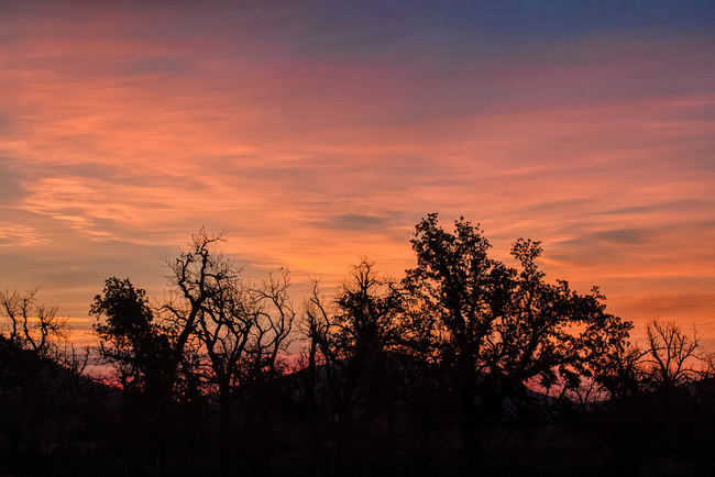 14. Wichita Mountains Wildlife Refuge, Oklahoma