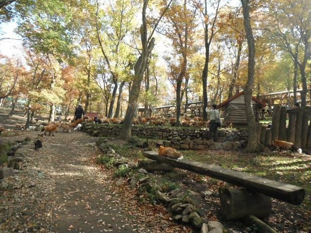 Or, you can take a rest on this bench, next to a cute little guy taking an afternoon nap.