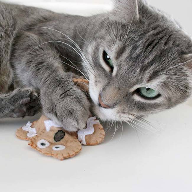 1.) Make a catnip filled <a href="https://www.dreamalittlebigger.com/post/distressed-gingerbread-man-cat-toys.html" target="_blank">gingerbread cookie toy</a> with felt.